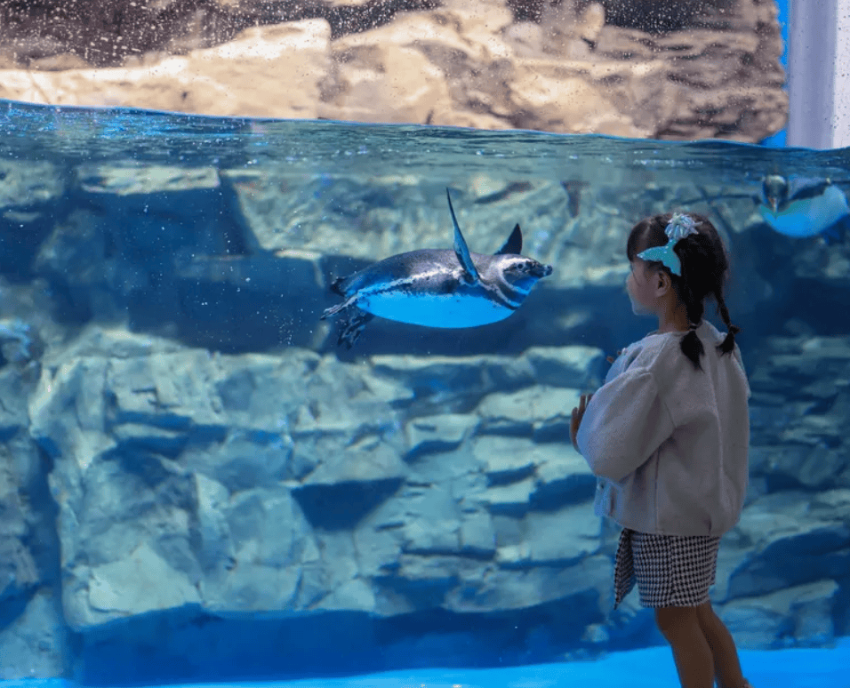 桃園親子景點｜3. 桃園 Xpark 水族館